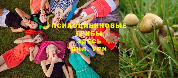 крисы Кодинск