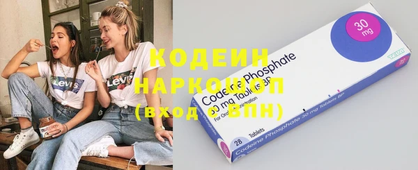 крисы Кодинск