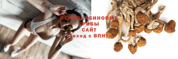 mix Козельск