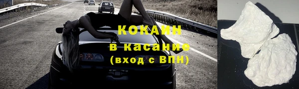 крисы Кодинск