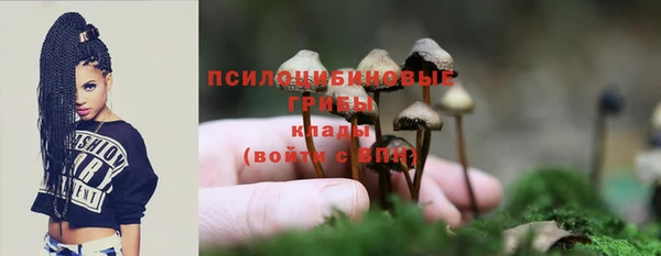 mix Козельск