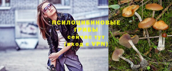 mix Козельск