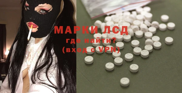 крисы Кодинск